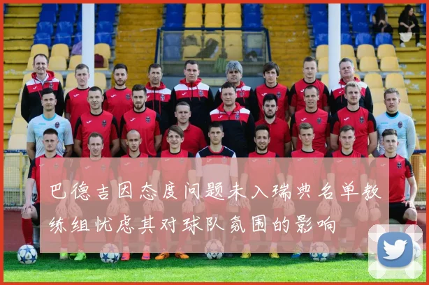 巴德吉因态度问题未入瑞典名单教练组忧虑其对球队氛围的影响