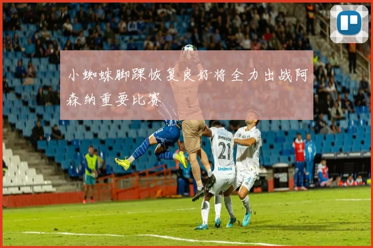 小蜘蛛脚踝恢复良好将全力出战阿森纳重要比赛