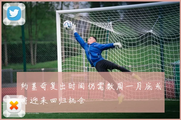 约基奇复出时间仍需数周一月底或将迎来回归机会