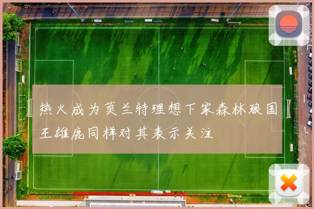 热火成为莫兰特理想下家森林狼国王雄鹿同样对其表示关注